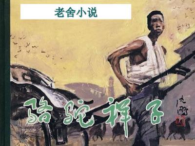 小辣椒官网